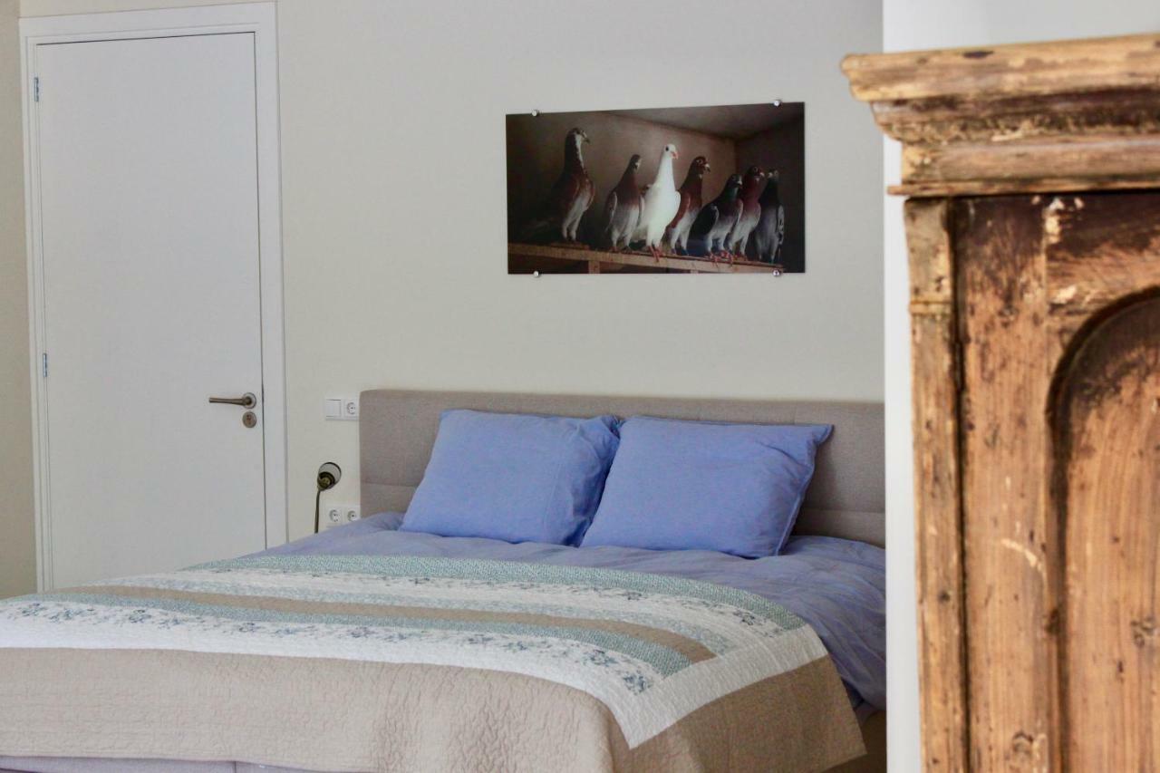 B&B De Sfeerhoeve Beilen Εξωτερικό φωτογραφία